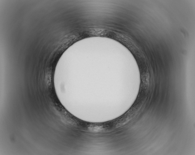 X0000110910602200907301543