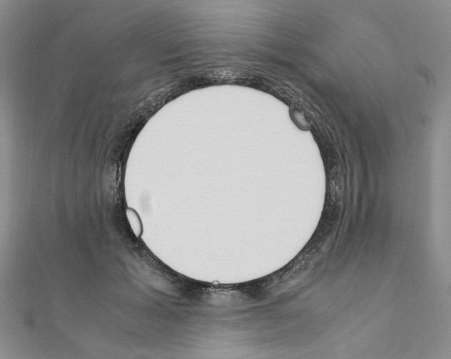 X0000110910605200907301543