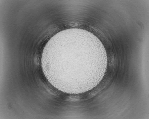 X0000110910606200907301543