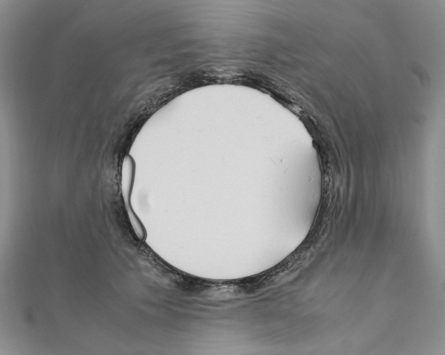 X0000110910609200907301543