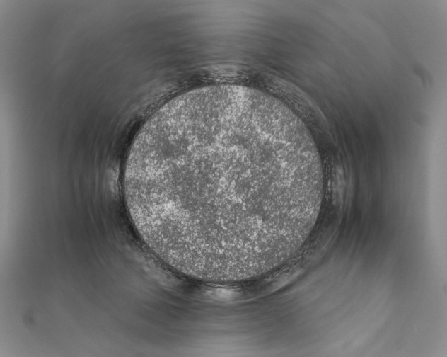 X0000110910610200907301543