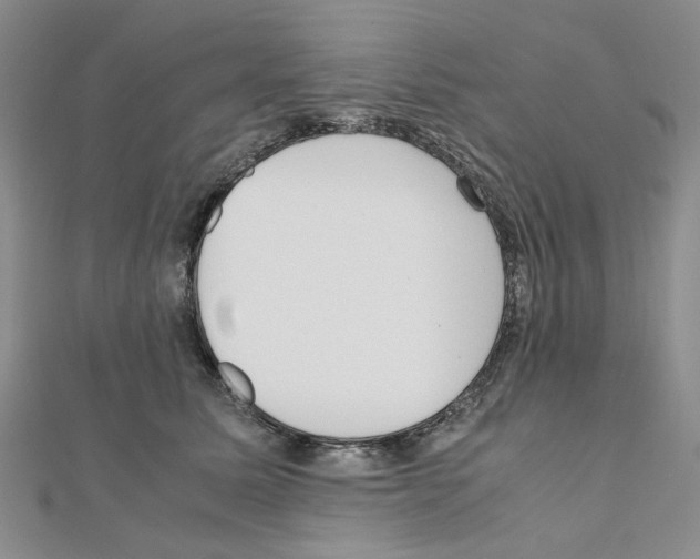 X0000110910611200907301543