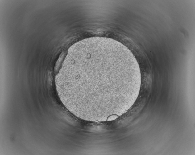 X0000110910612200907301543