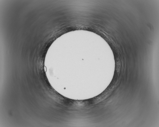 X0000110910613200907301543