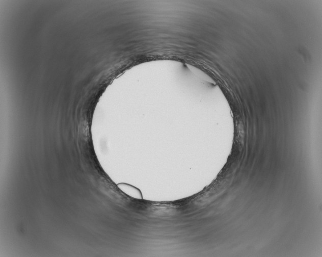 X0000110910617200907301543