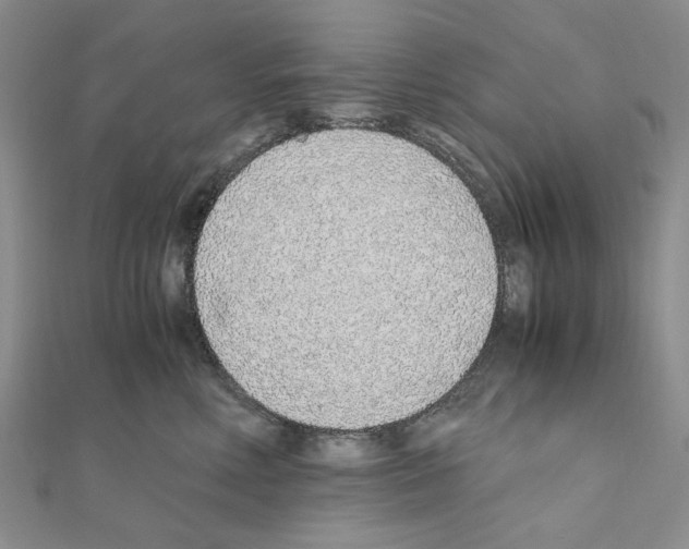 X0000110910618200907301543