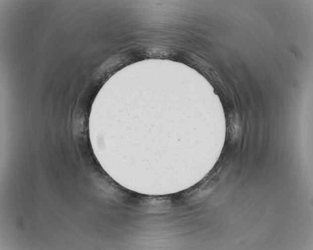 X0000110910619200907301543