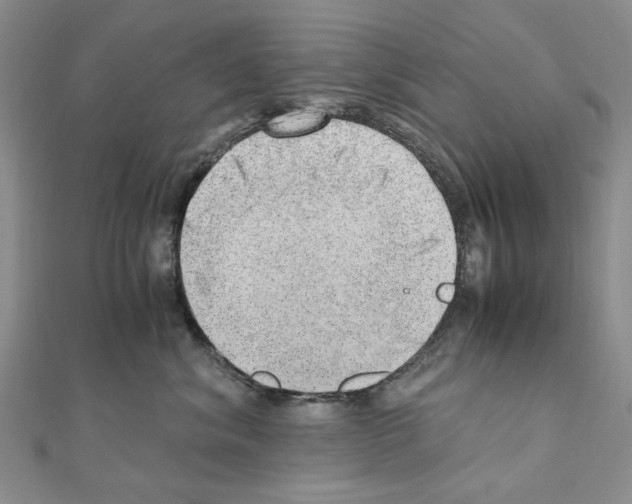 X0000110910620200907301543