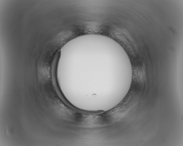 X0000110910621200907301543