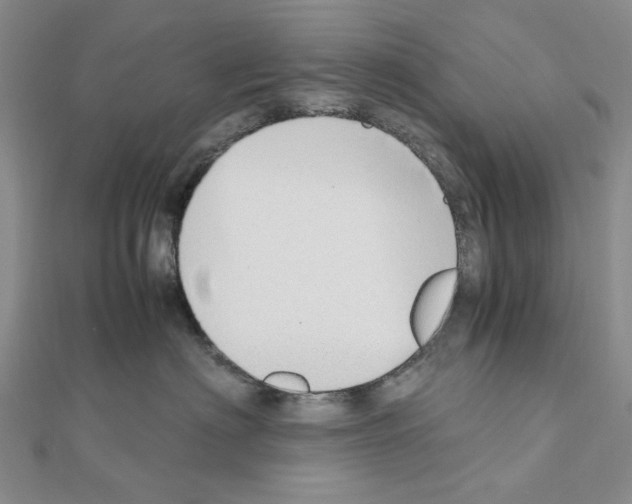 X0000110910622200907301543