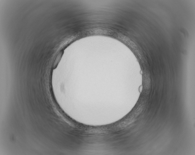 X0000110910625200907301542