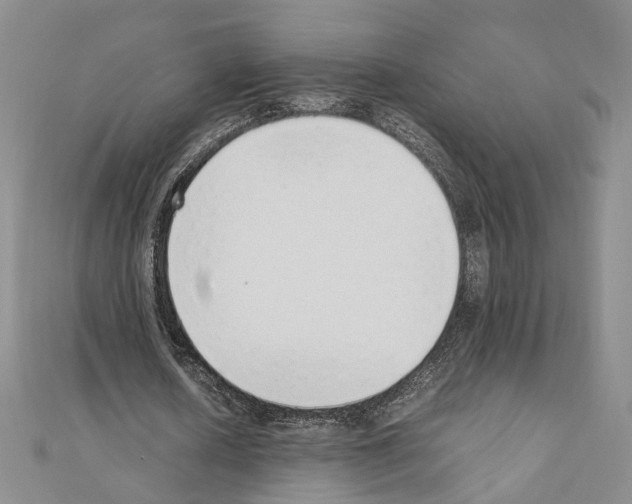 X0000110910626200907301542