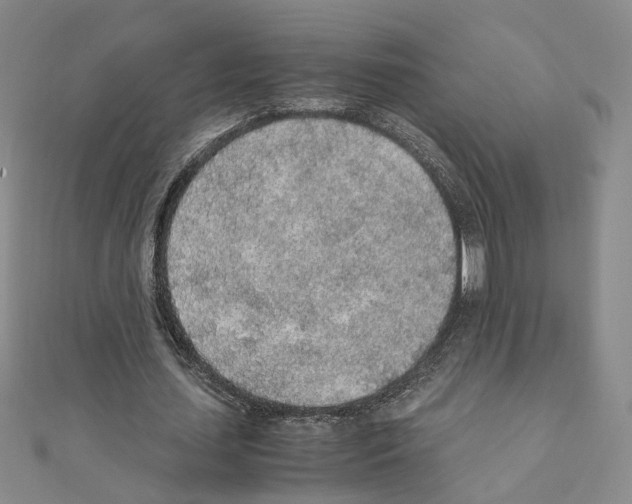 X0000110910627200907301542