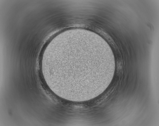 X0000110910628200907301542