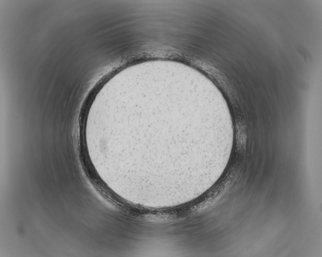 X0000110910630200907301542