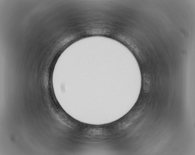 X0000110910631200907301542