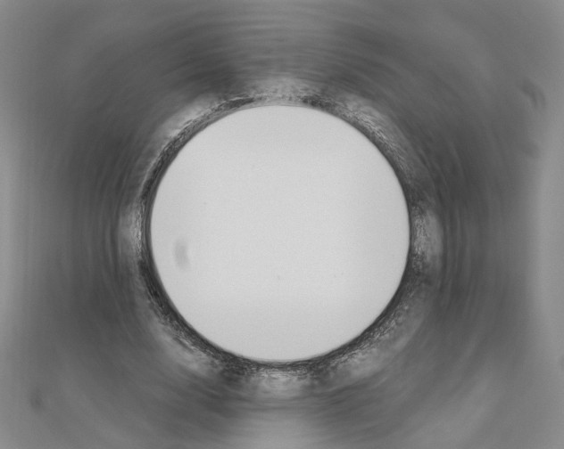 X0000110910632200907301542