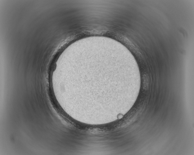 X0000110910634200907301542