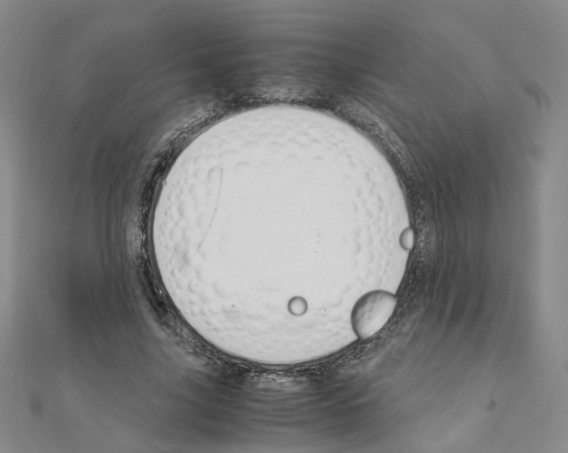 X0000110910635200907301542