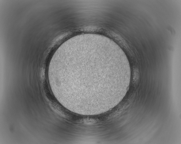 X0000110910636200907301542