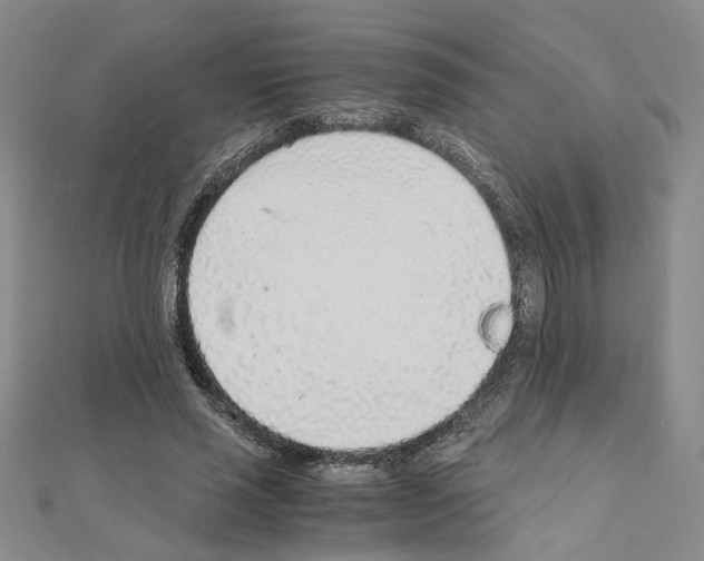 X0000110910637200907301542