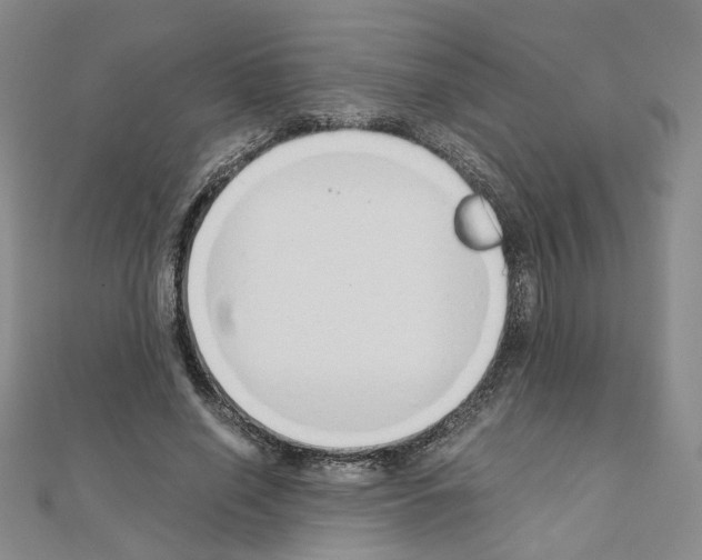 X0000110910638200907301542