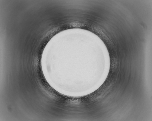 X0000110910639200907301542