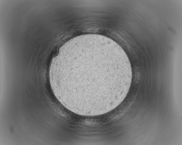 X0000110910641200907301542