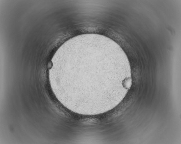 X0000110910642200907301542