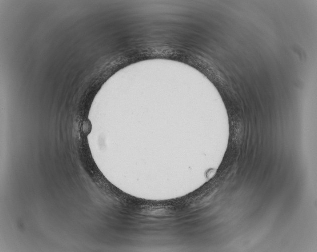 X0000110910643200907301542