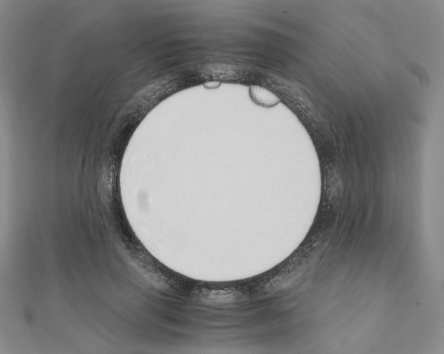 X0000110910645200907301542