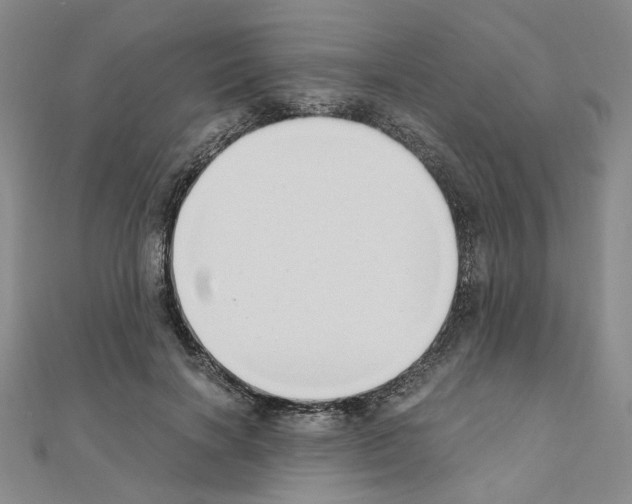 X0000110910646200907301542