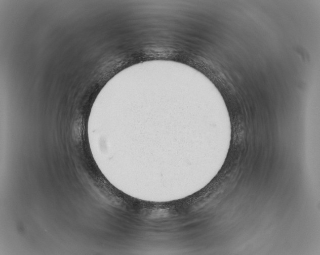 X0000110910647200907301542