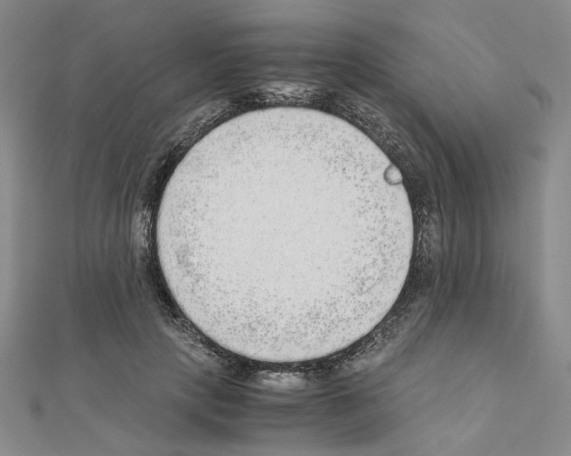 X0000110910649200907301542