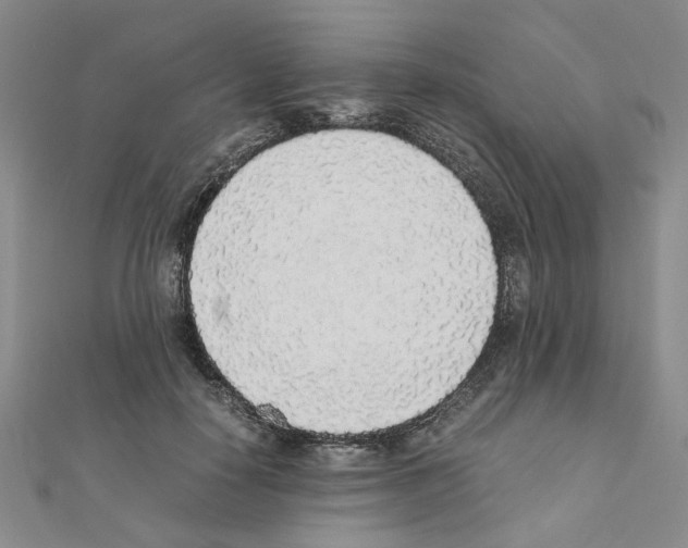 X0000110910650200907301542