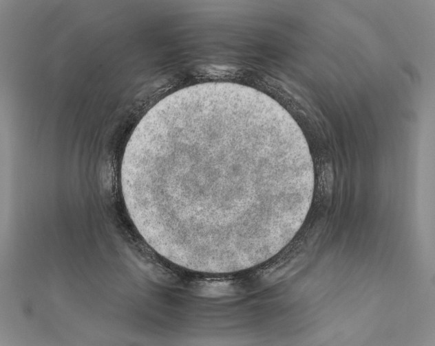 X0000110910651200907301542