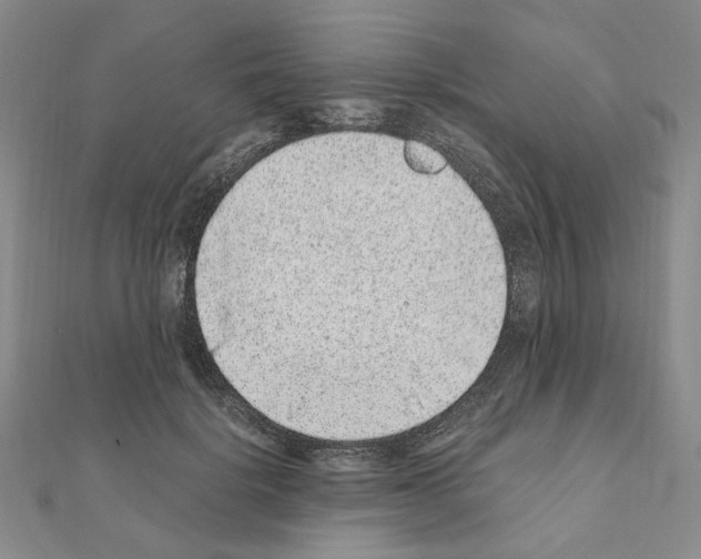 X0000110910652200907301542