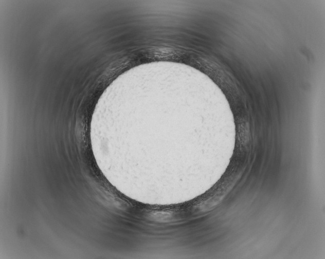 X0000110910653200907301543