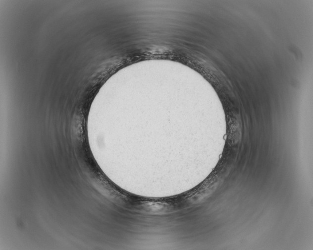 X0000110910654200907301543