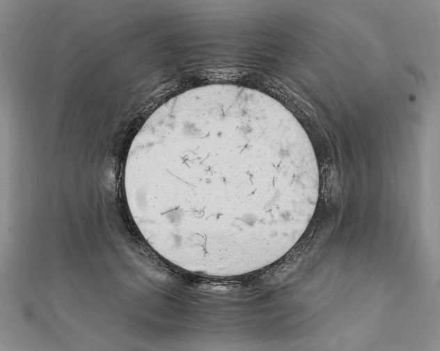 X0000110910655200907301543