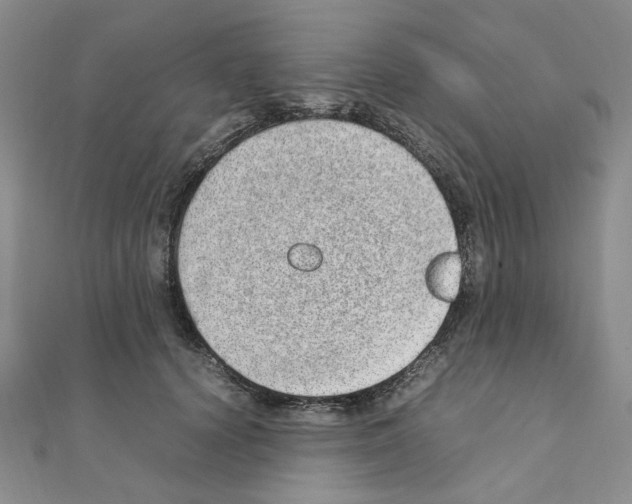 X0000110910656200907301543