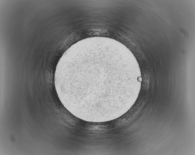 X0000110910657200907301543