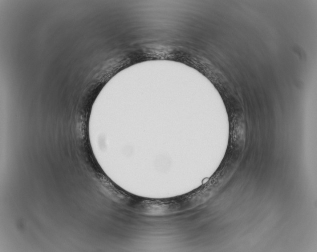 X0000110910658200907301543