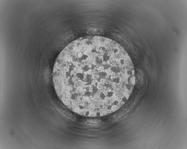 X0000110910659200907301543