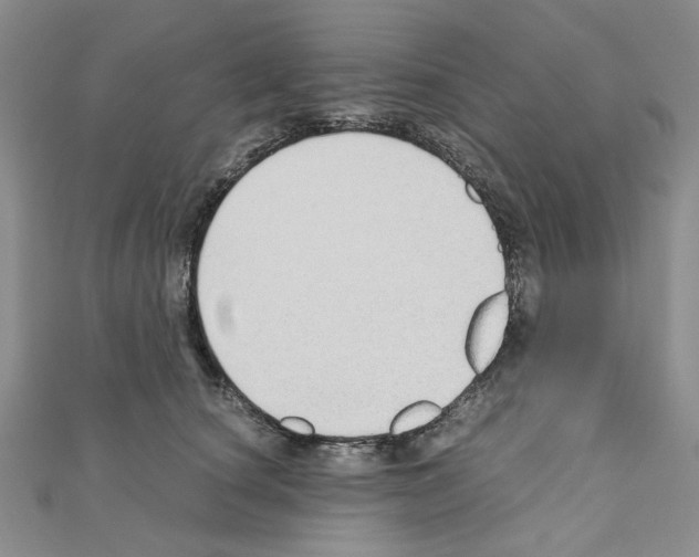 X0000110910660200907301543