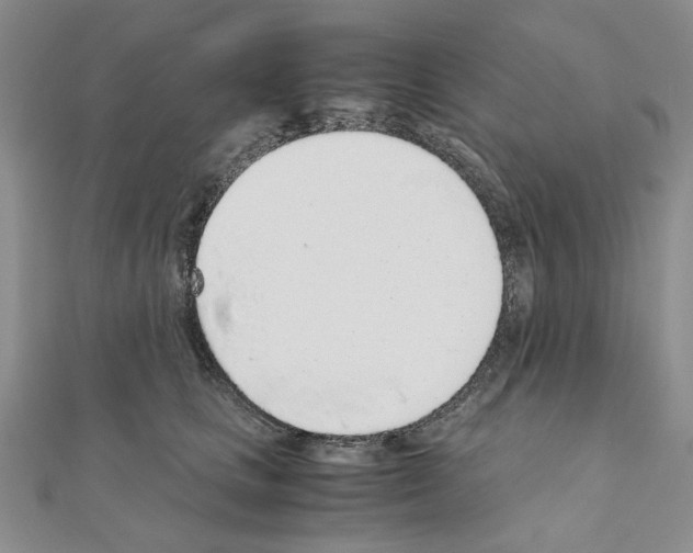 X0000110910661200907301543