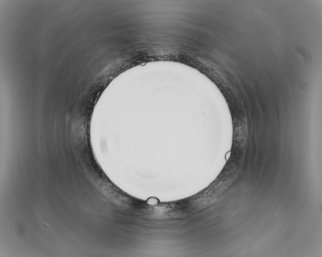 X0000110910662200907301543