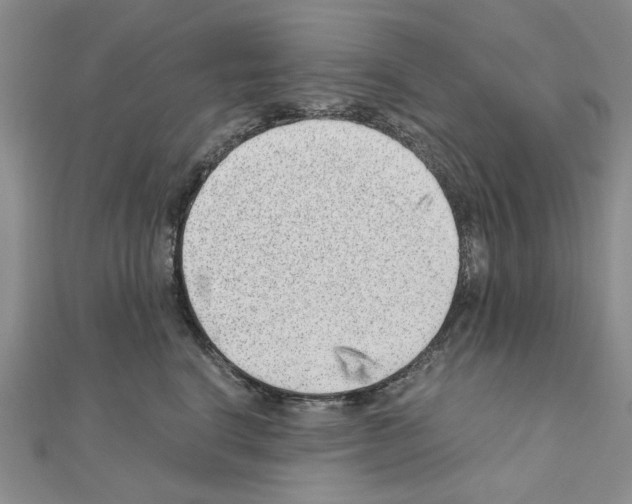 X0000110910664200907301543