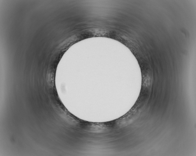 X0000110910666200907301543