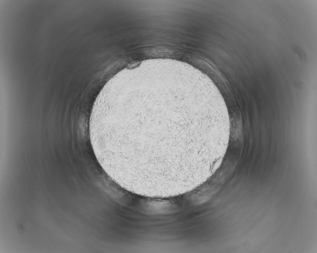 X0000110910669200907301543